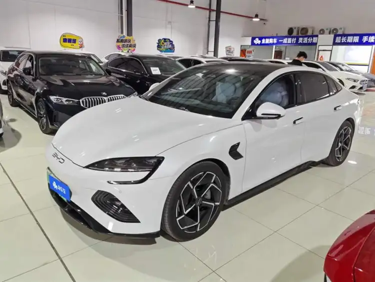 Sealion 2022 Model 700km Long Range Rear-Wheel Drive Version