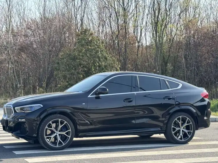 BMW X6 2020 xDrive40i Luxury M Sport Package