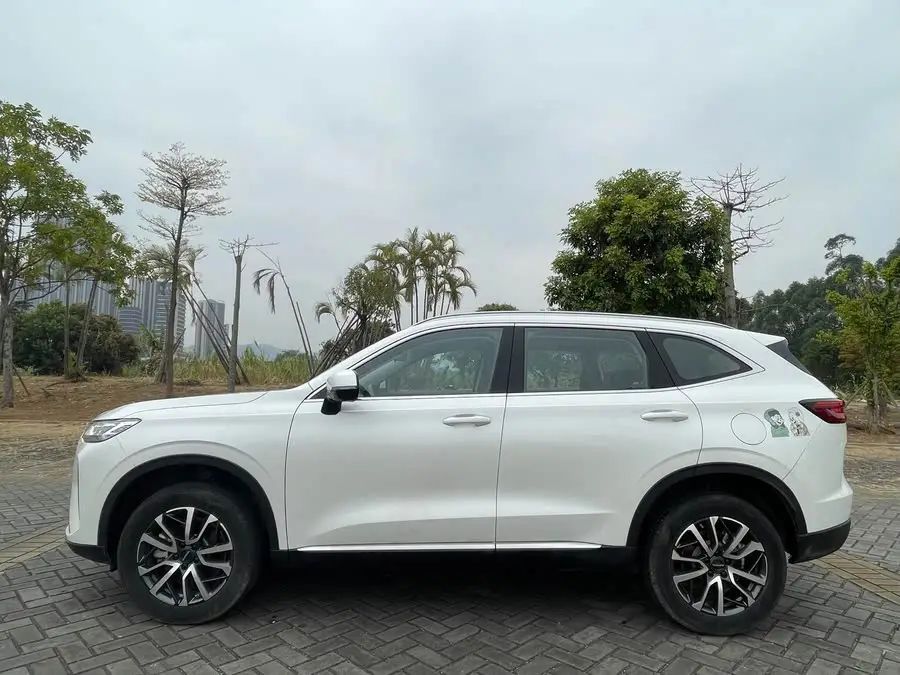 Haval H6 2022 Model Third Generation 1.5T Automatic Two-Wheel Drive Max