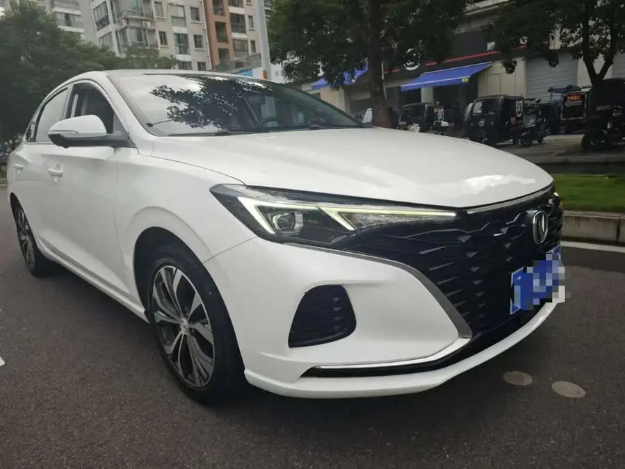 Yidong 2021 Plus Blue Whale NE 1.4T GDI DCT Flagship