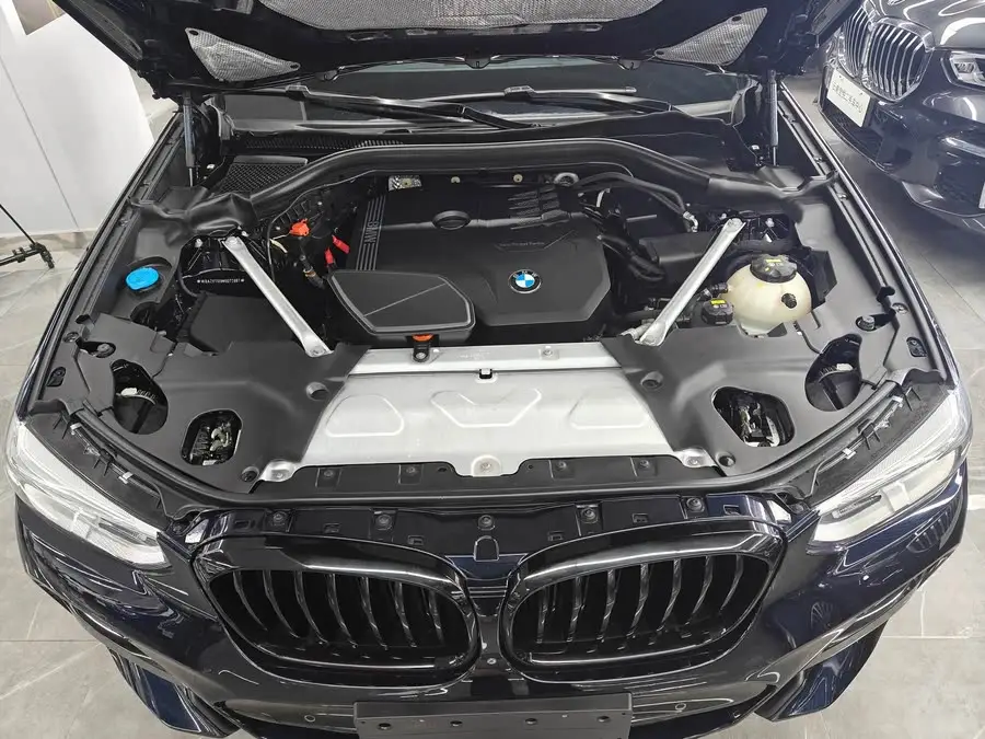 BMW X4 2021 xDrive 30i M Sport Black Package