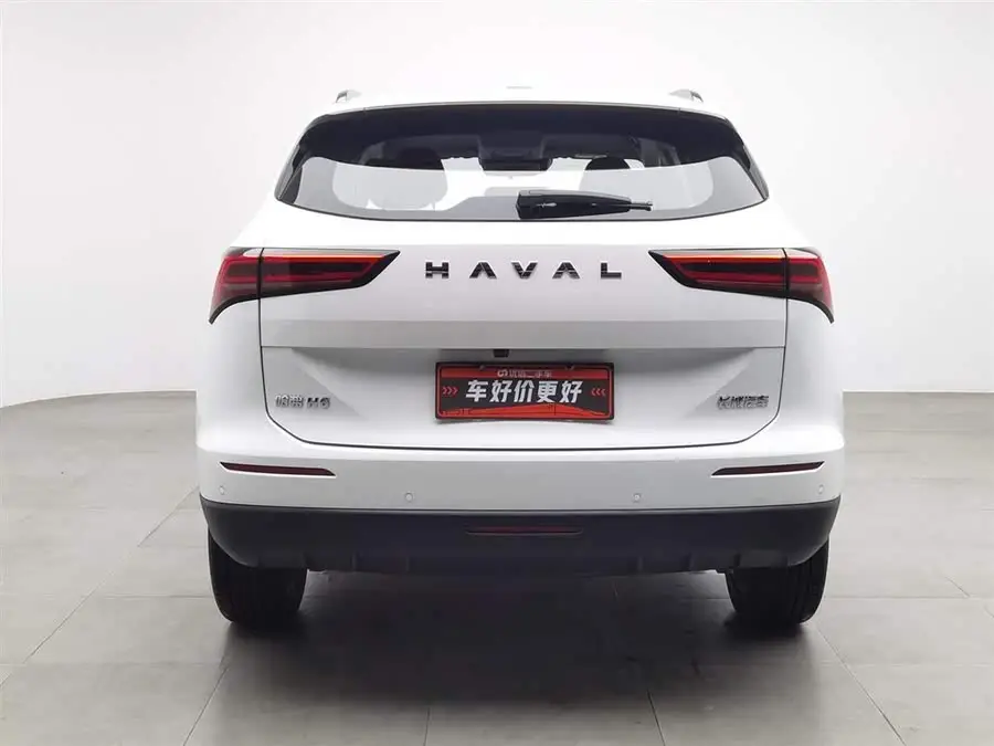 Haval H6 2024 1.5T Two-Wheel Drive Max