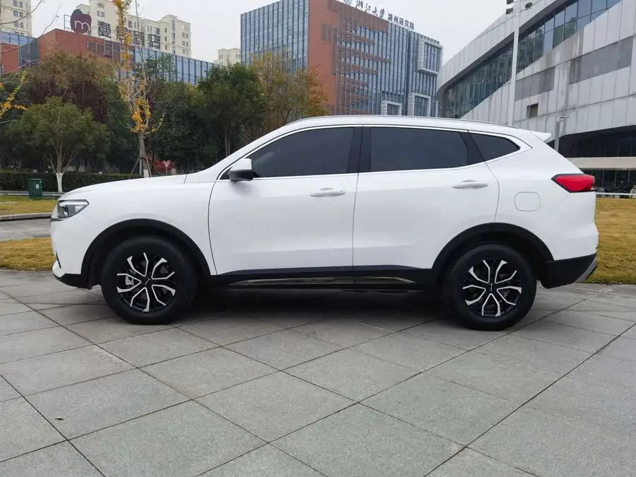 Haval H6 2021 National Tide Edition 1.5GDIT Automatic Champion Version