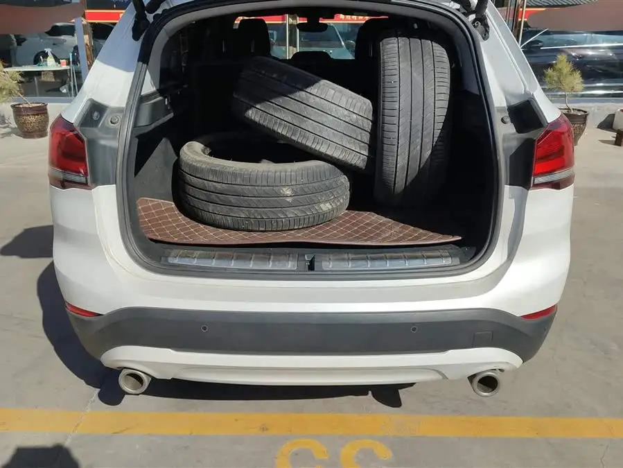 BMW X1 2020 sDrive25Li Leading Model