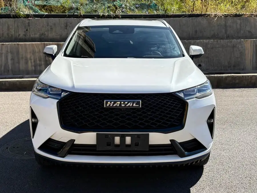 Haval H6 2021 Model Third Generation 2.0T Automatic Two-Wheel Drive Max