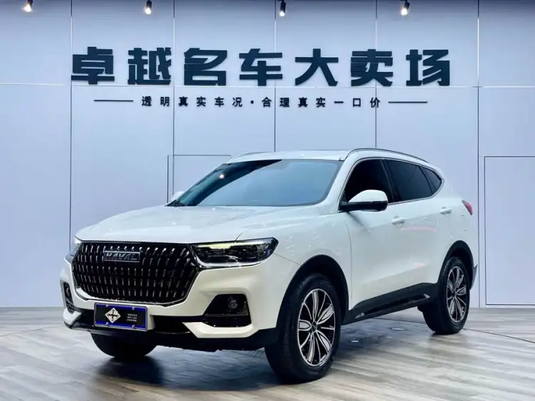 Haval H6 2023 National Trend Edition 1.5T Automatic Champion Version