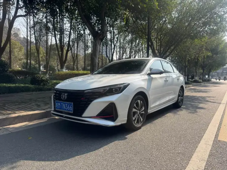 Yidong 2022 PLUS Blue Whale NE 1.4T GDI DCT Premium Edition
