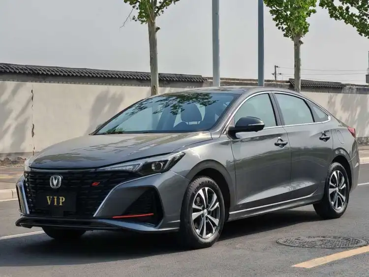 Yidong 2022 Plus Blue Whale NE 1.4T GDI DCT Flagship Edition