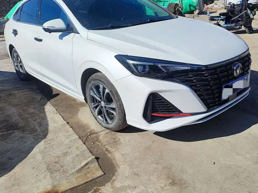 Yidong 2023 Model Changxiang Version PLUS Blue Whale NE 1.4T GDI DCT Premium Edition