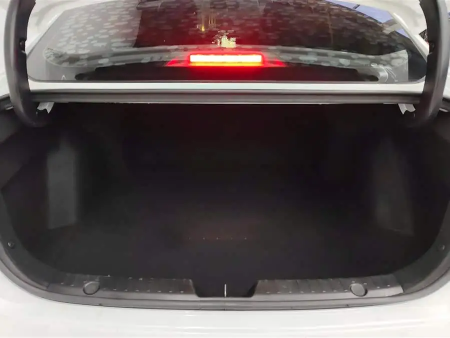 Yidong 2020 PLUS Blue Whale NE 1.4T GDI DCT Premium Version