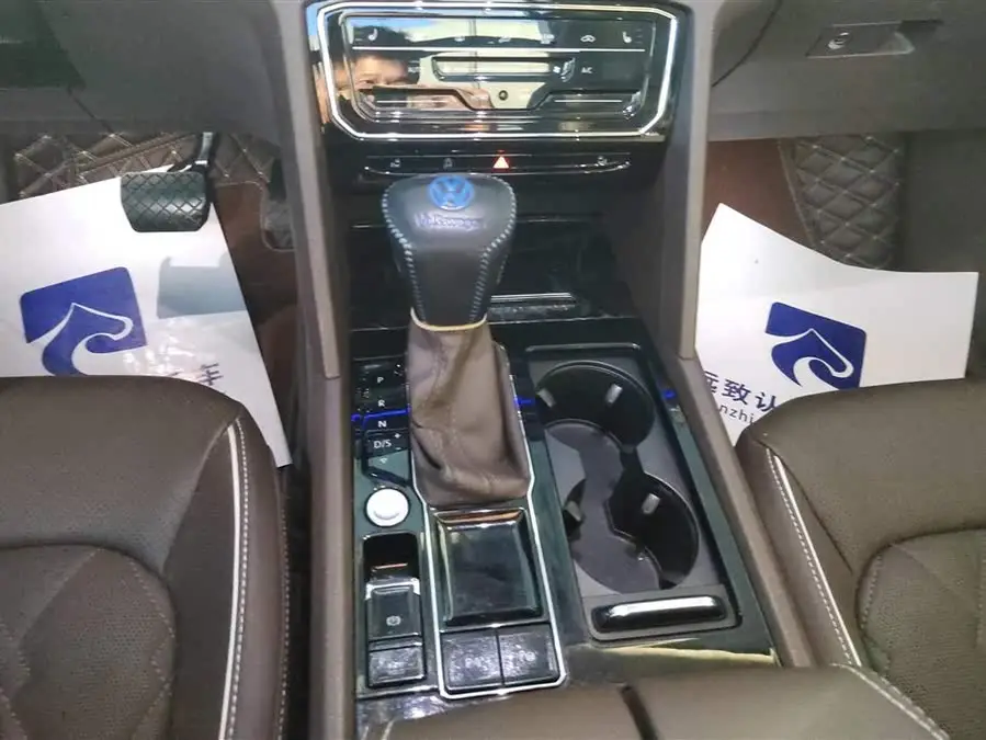 Weiran 2020 Model 380TSI Premium Edition