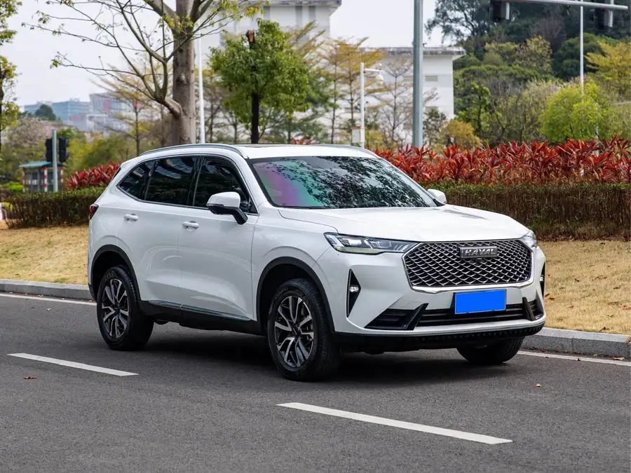 Haval H6 2021 Model Third Generation 1.5T Automatic Two-Wheel Drive Pro