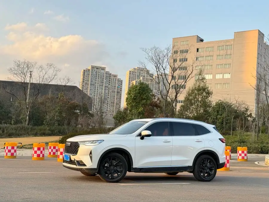 Haval H6 2021 Model Third Generation 2.0T Automatic Four-Wheel Drive Max