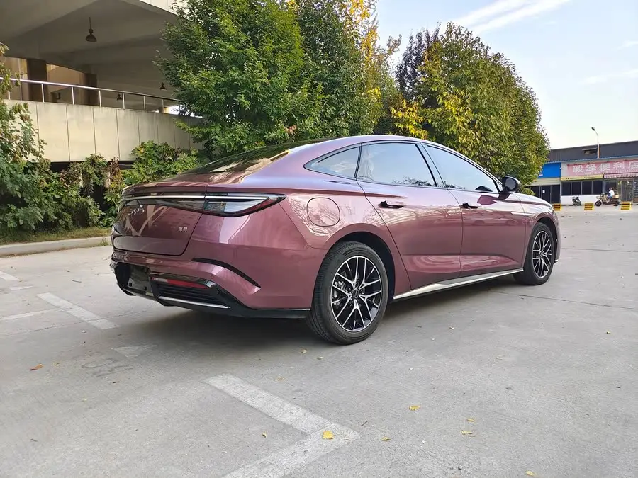 فقمة 2023 DM-i 1.5T 121 كم فئة رائدة