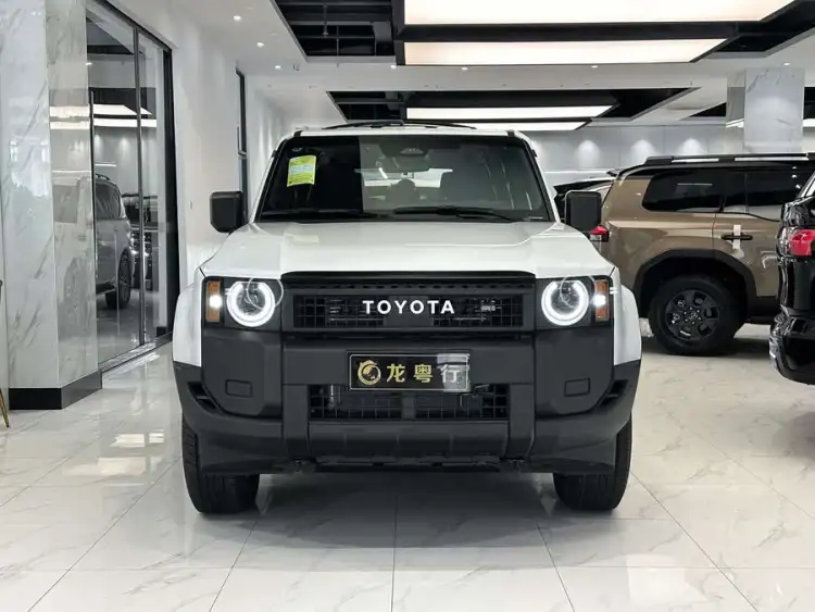 Model Basic Information