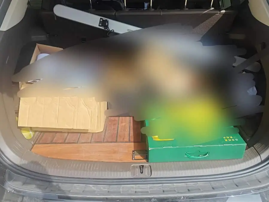 Weiran 2022 380TSI Zunchi Edition