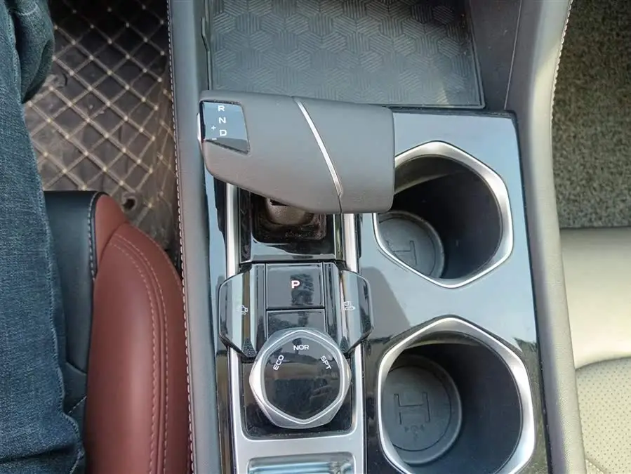 Yidong 2023 Model Chuangxiang Version PLUS Blue Whale NE 1.4T GDI DCT Premium Edition