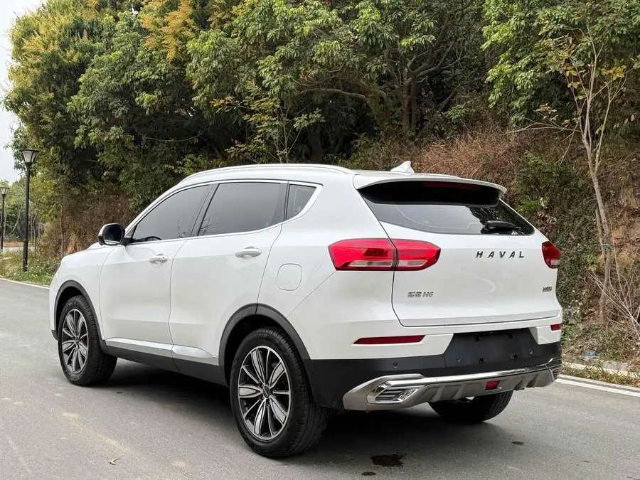 Haval H6 2020 1.5GDIT Automatic Platinum Super Luxury Version