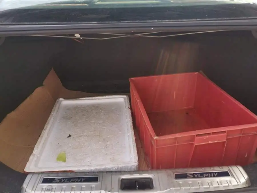 2020 Nissan Sylphy 1.6L XL CVT Enjoy Edition