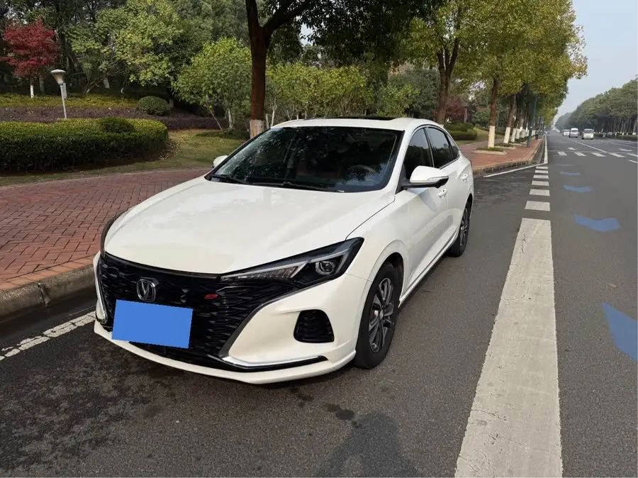 Yidong 2021 Plus Blue Whale NE 1.4T GDI DCT Premium Edition