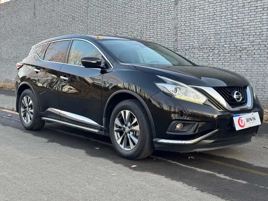 Loulan 2021 2.5L XL Two-Wheel Drive Intelligent Luxury Version