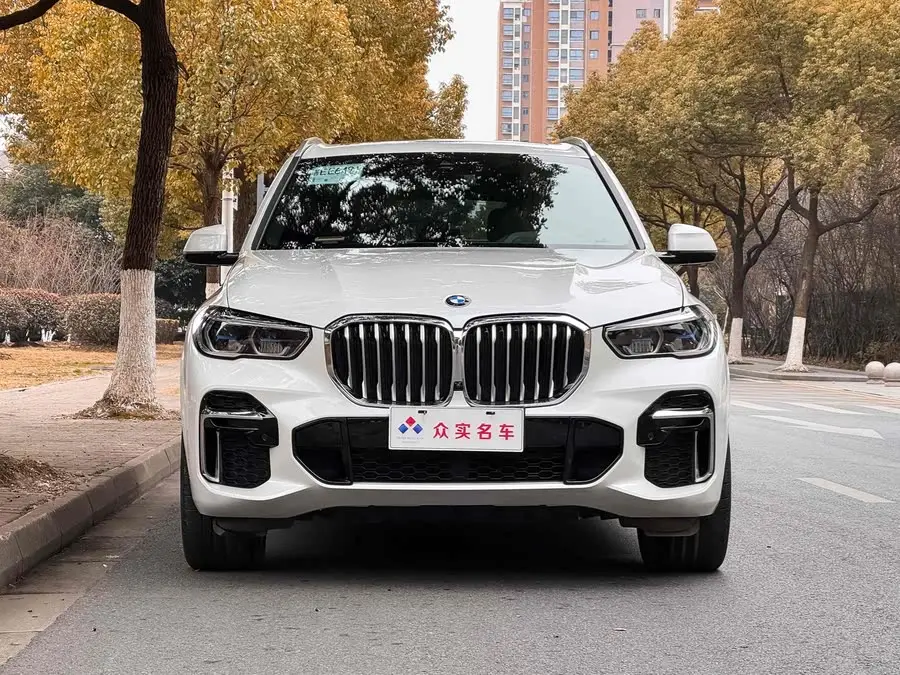 BMW X5 2022 xDrive 40Li M Sport Package