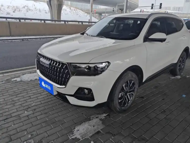 Haval H6 2023 National Trend Edition 1.5T Automatic Champion Version