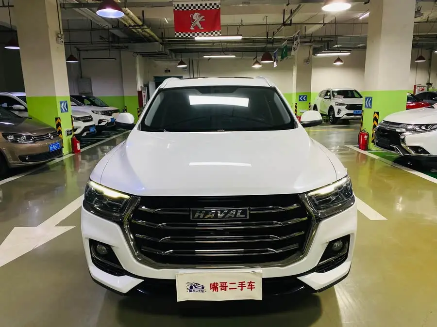 Haval H6 2021 National Trend Edition 1.5T Automatic Urban Version