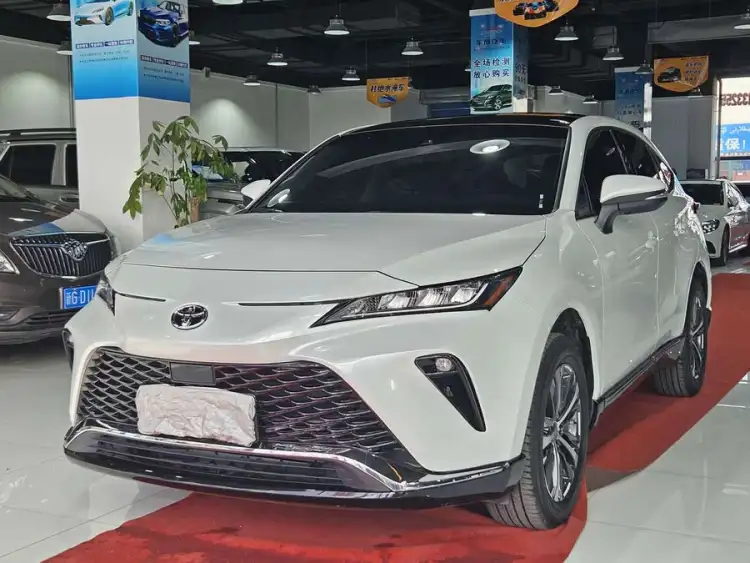 Weizha 2023 Model 2.0L CVT Two-Wheel Drive Luxury Edition