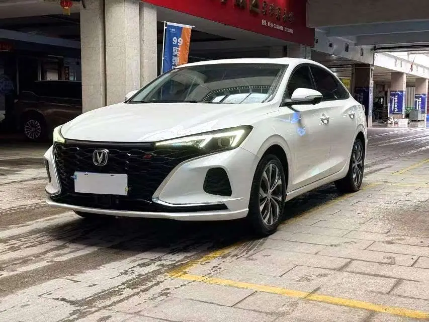 Yidong 2021 PLUS Blue Whale NE 1.4T GDI DCT Flagship Model
