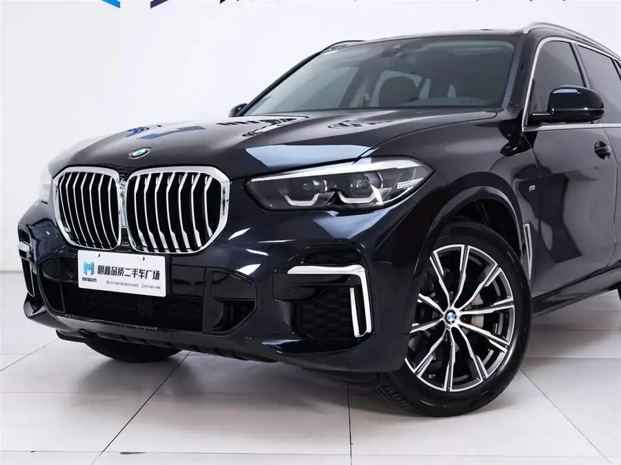 2022 BMW X5 Facelift xDrive 30Li M Sport Package