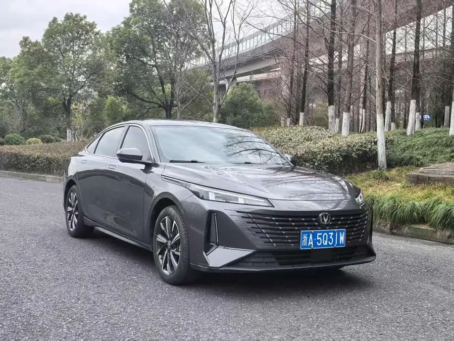 Yidong 2024 1.5T GDI Automatic Flagship