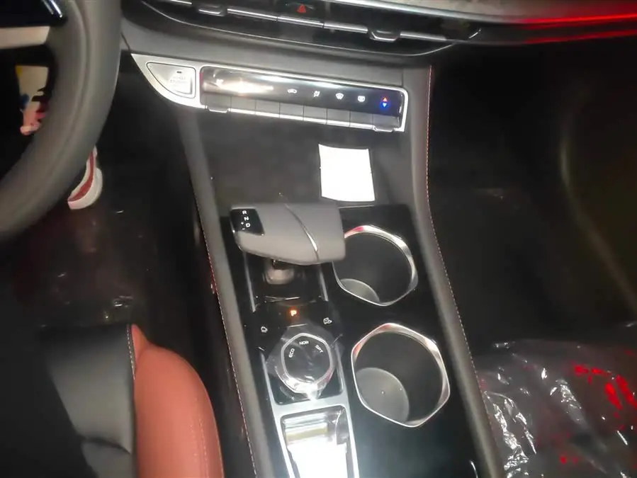 Yidong 2024 PLUS Blue Whale NE 1.4T GDI DCT High Energy Edition