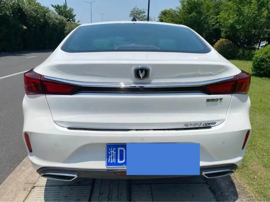 Yidong 2020 PLUS Blue Whale NE 1.4T GDI DCT Premium Edition