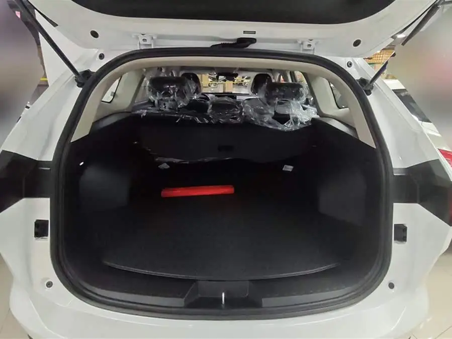 Haval H6 2024 1.5T Two-Wheel Drive Classic Edition