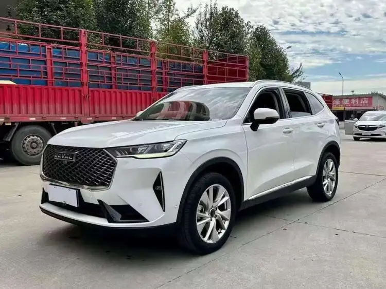 Haval H6 2021 Model Third Generation 2.0T Automatic Two-Wheel Drive Max