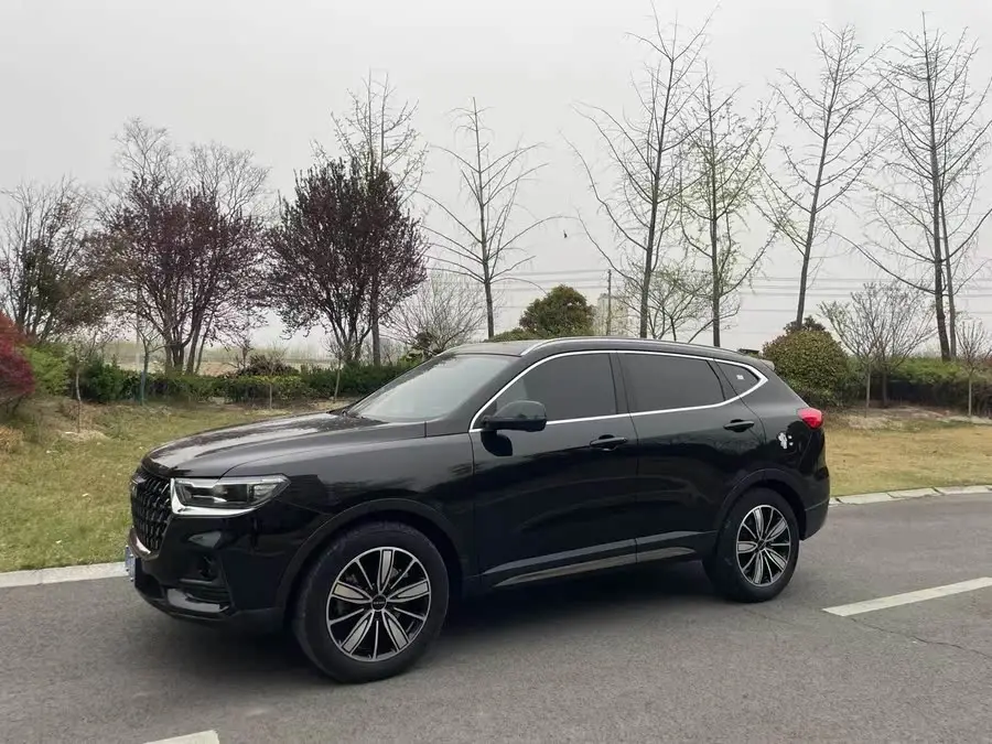 Haval H6 2023 National Trend Edition 1.5T Automatic Champion Version