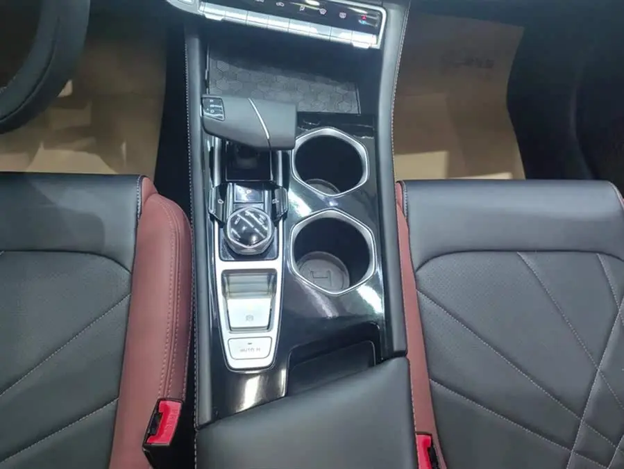 2023 ييدونغ تشوانغشيانغ النسخة بلس بلو ويل NE 1.4T GDI DCT النسخة المميزة