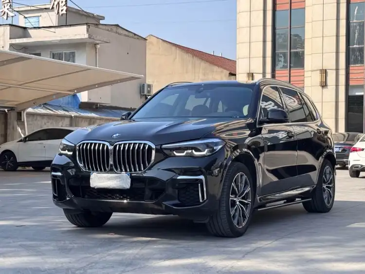 BMW X5 2022 xDrive 30Li M Sport Package