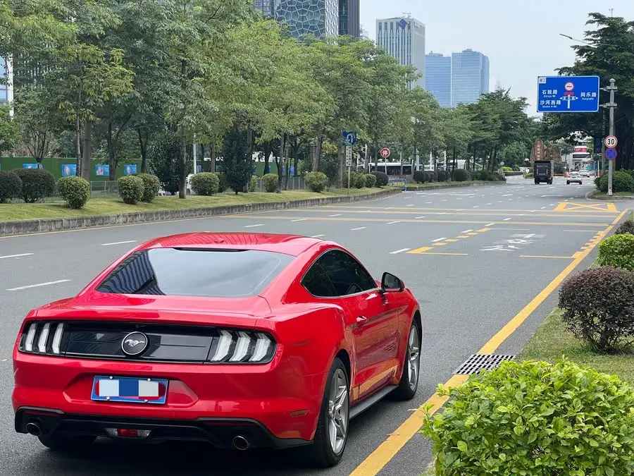 2019 Mustang 2.3L EcoBoost Performance Package