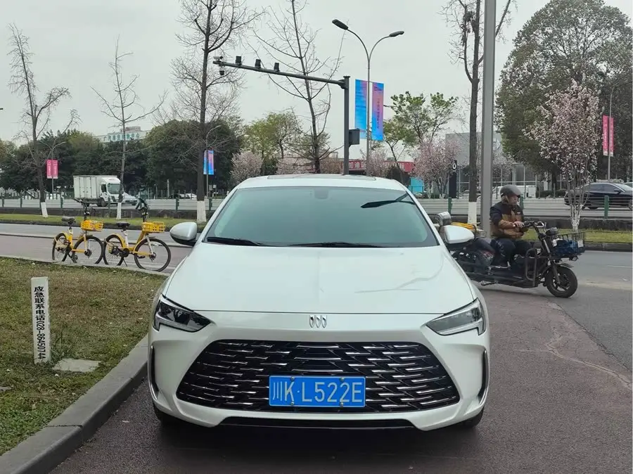 بيوك ريجال 2024 28T نسخة الاستمتاع