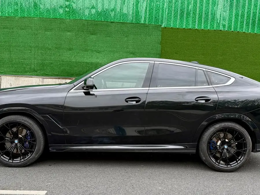 BMW X6 2021 xDrive40i M Sport Package