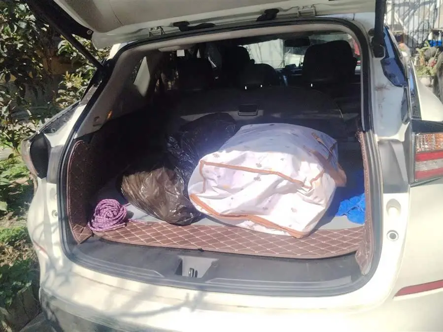 LuoLan 2021 Model 2.5L XL Two-Wheel Drive Intelligent Luxury Version