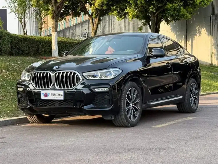 BMW X6 2020 xDrive40i M Sport Package