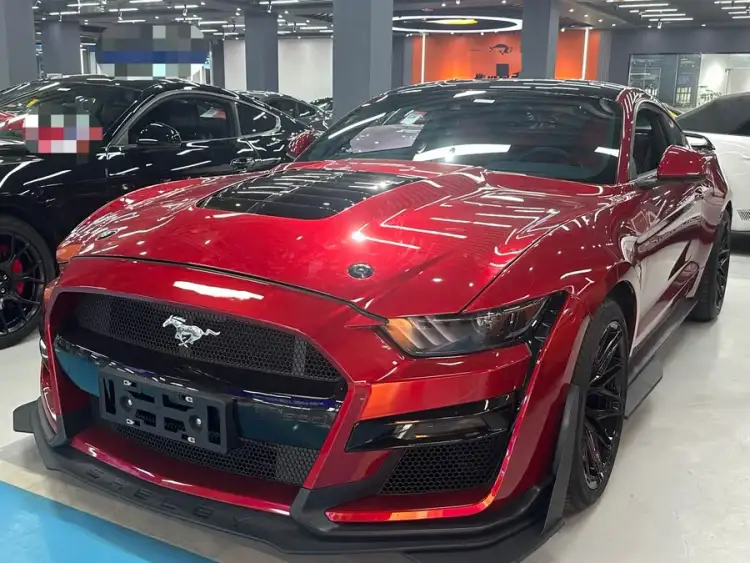 2021 Mustang 2.3T EcoBoost Black Shadow Special Edition
