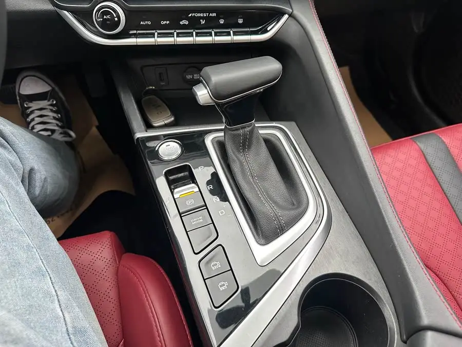 Yidong 2021 PLUS Blue Whale NE 1.4T GDI DCT Flagship