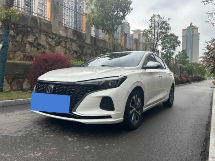 Yidong 2020 Plus Blue Whale NE 1.4T GDI DCT Fengshang Edition