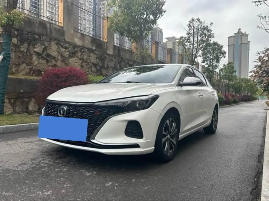 Yidong 2020 Plus Blue Whale NE 1.4T GDI DCT Fengshang Edition