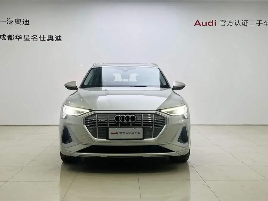 Audi e-tron 2021 50 quattro Selection