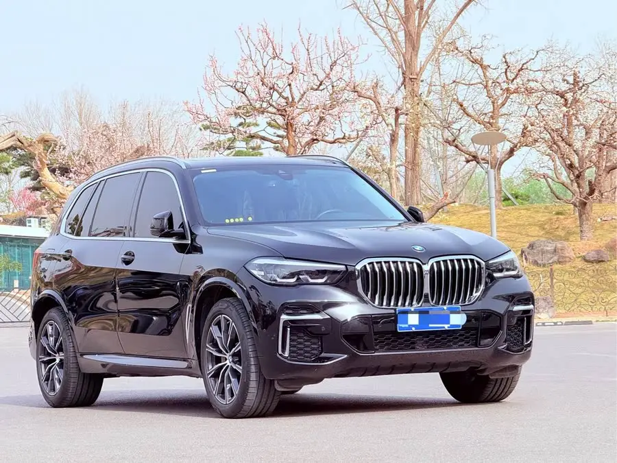 BMW X5 2022 xDrive 30Li Exclusive M Sport Package